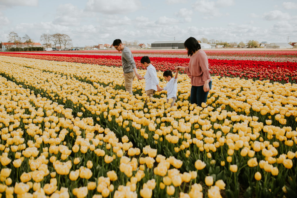 tulip fields photo session amsterdam