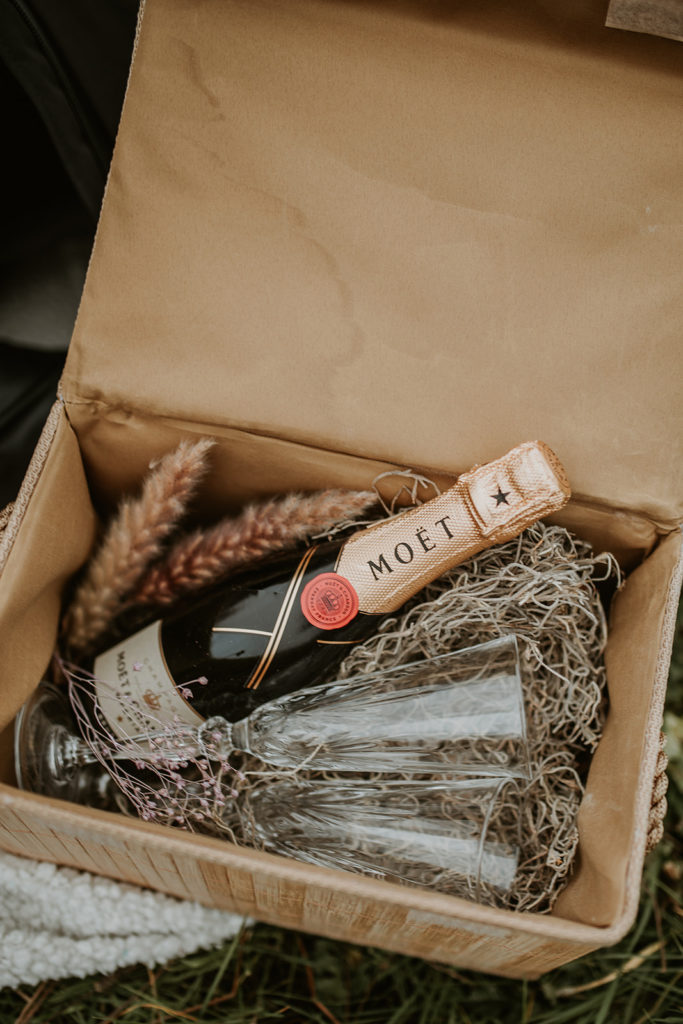 Marriage proposal Eindhoven Amsterdam at the windmill